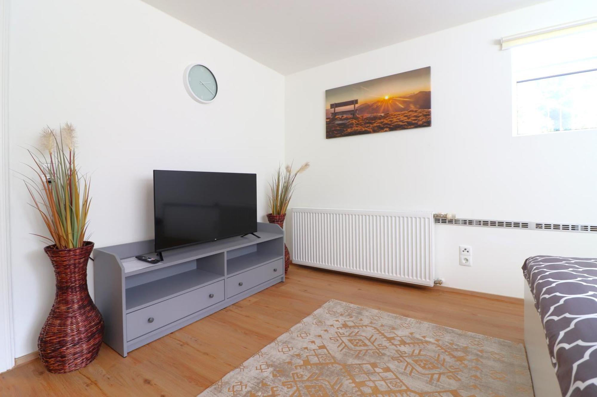 Montfort Apartments - Feldkirch Room photo